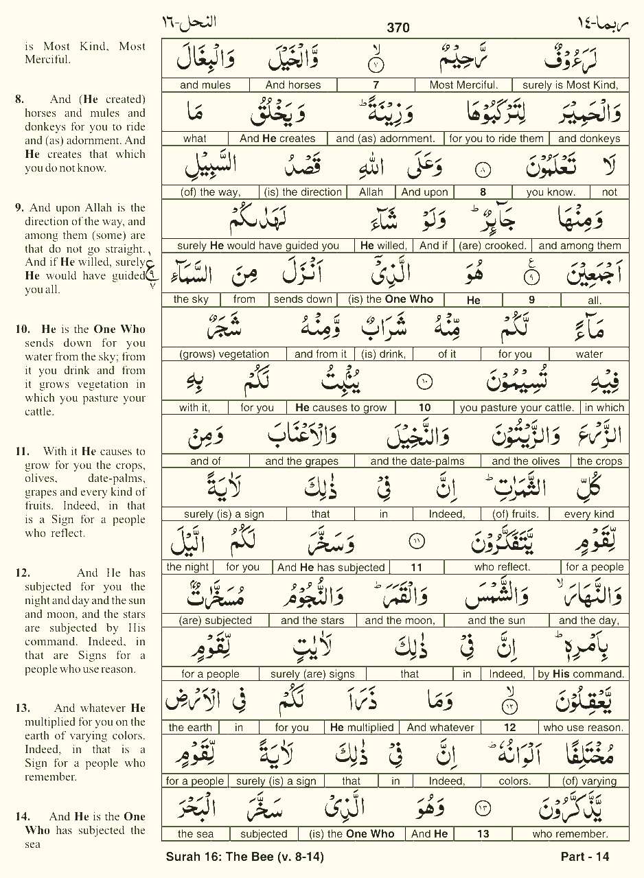 Quran English Parah 14 Page 10
