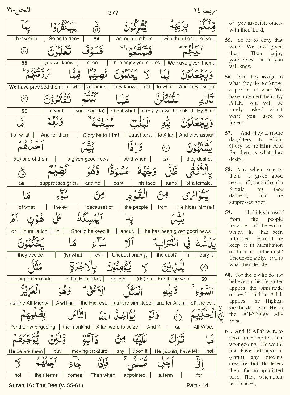 Quran English Parah 14 Page 17